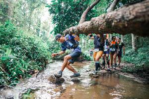 BIB: 
                            <button type="button" onclick="openModal(25374082)" class="btn btn-primary btn-sm float-right btn-popup" data-toggle="modal" data-target=".modal-high-quality">
                        <i class="fas fa-shopping-cart"></i> Add to Cart
                    </button>
                                            <button type="button" onclick="isThisMe(25374082, true)" class="btn btn-success btn-sm float-right btn-popup btn-isme hidden" data-toggle="tooltip" data-placement="bottom" title="นี่คือรูปของคุณใช่ไหม คลิกที่นี่เพื่อเอาเข้าอัลบั้ม">
                        <i class="fas fa-plus"></i> Add to album
                    </button>
                    <button type="button" onclick="isThisMe(25374082, false)" class="btn btn-warning btn-sm float-right btn-popup btn-isnotme hidden">
                        <i class="fas fa-ban"></i> Remove from album
                    </button>